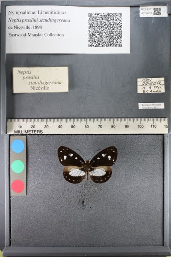 Media type: image;   Entomology 138473